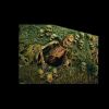HOD210- Catacombs- Creeper Character