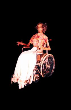 SPR2008- Strolling Wheelchair