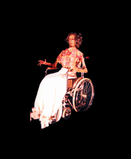 SPR2008-Strolling-Wheelchair
