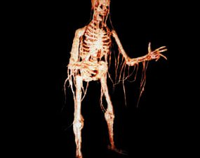 WLK2103- Walking Dead Skeleton