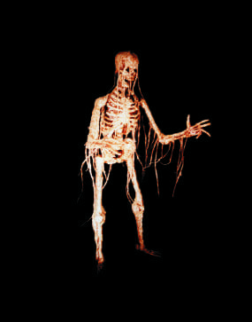 WLK2103-Walking-Dead-Skeleton