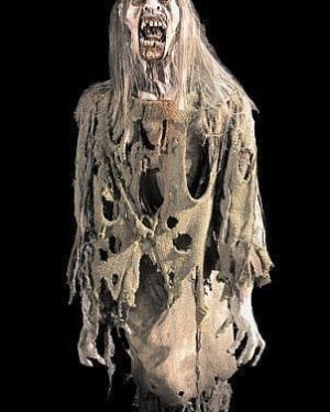 CHR261- Thrashing Hag