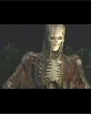 CHR204- 10' Foot Leaper