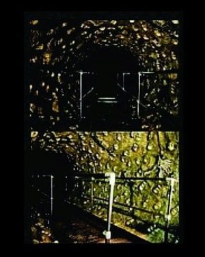 HODVORTEX- Vortex of Swirling Corpses