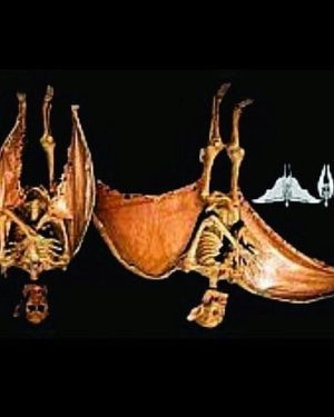 RD122- Static Hanging Winged Vampyre