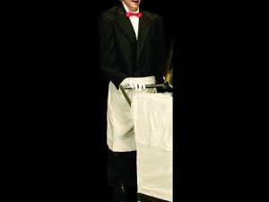 SP400-Creepy Butler (Static)