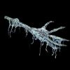 GD126- Necromancer- Arm Through Window