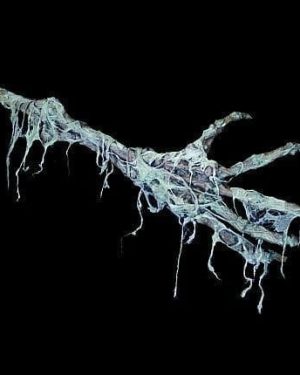 GD126- Necromancer- Arm Through Window