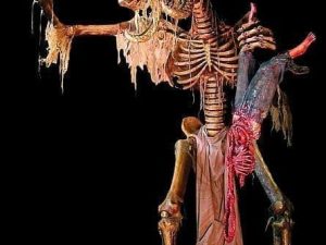 GD24- Special Sheredded Kicker