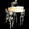 GRY304- Skelly Pallbearers