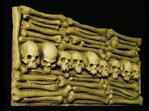 HOD403- Skeletal Wall Panel