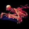 RD111- Lurker