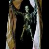 SKEL108- Peek-A-Boo Curtain