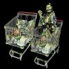 SPR2020- Strolling Shopping Cart