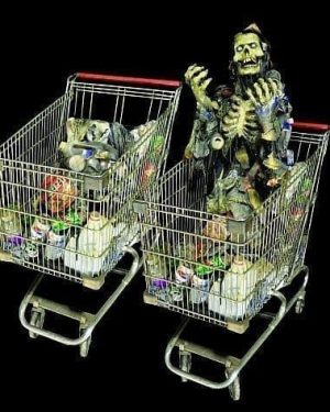 SPR2020- Strolling Shopping Cart