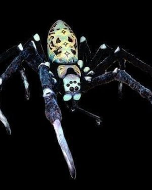 SPY107D- Actor Giant Spider (Deluxe with 8 Articulations)