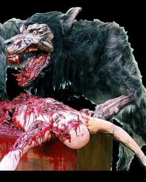 WLF101- Feeding Wolf