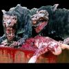 WLFTBL- Wolf Feeding Table