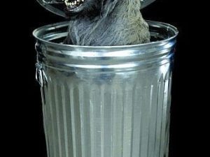 WOLF107- Dog Trash Can