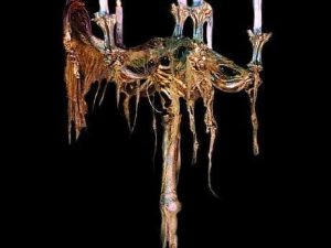 ZMB753- One Armed Wall Sconce Skelelabera