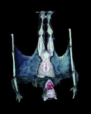 ZMB769- Hanging Vampyre Articulating Zombiette