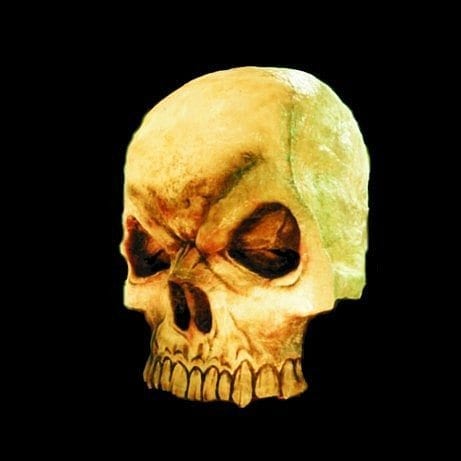 SCNSKL01- Giant Skull