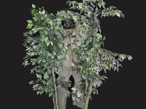 PAINT103- Tree Peek-a-Boo