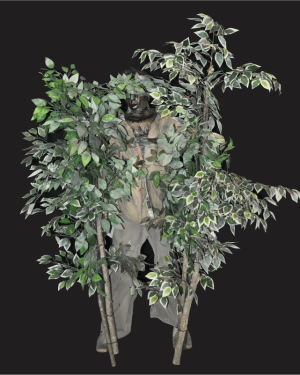 PAINT103- Tree Peek-a-Boo