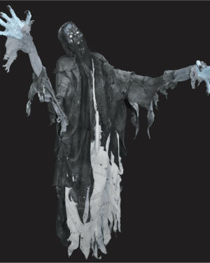 ZMB790- Floating Dementor