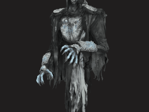 ZMB791- Floating Ring Wraith