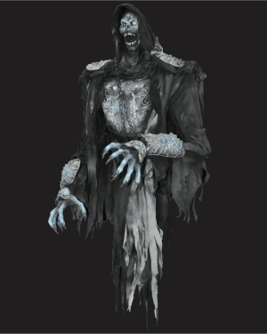 ZMB791- Floating Ring Wraith