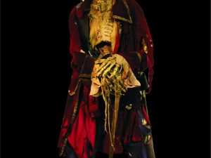 PIR701- Pirate Captain