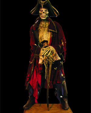 PIR701- Pirate Captain