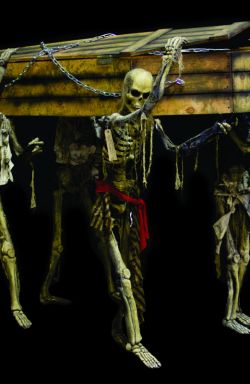 PGRY304- Pirate Skelly Pallbearers