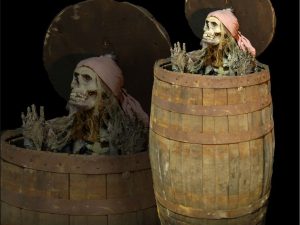 PIRBRL- Pirate out of Barrel