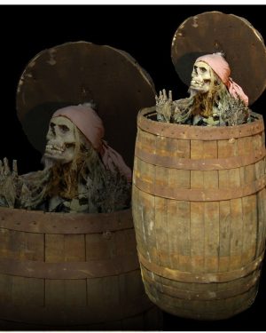 PIRBRL- Pirate out of Barrel