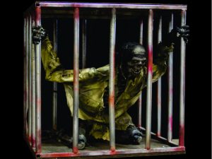 PIRCAGE- Pirate in Cage