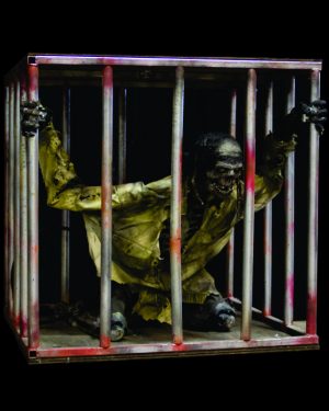 PIRCAGE- Pirate in Cage