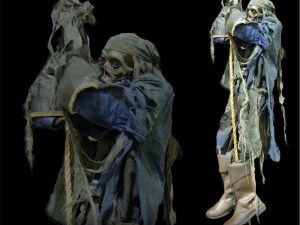 PIRCLMB- Pirate Climber Vertical