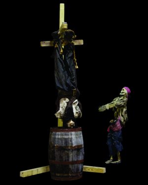 PIRDUNK- Pirate Dunk