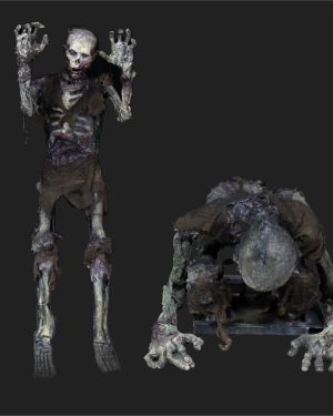 CHR528 - CRYPT REANIMATOR