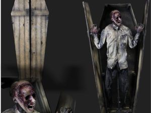 COF929 - COFFIN PEEK-A-BOO