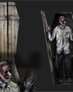 COF929 - COFFIN PEEK-A-BOO