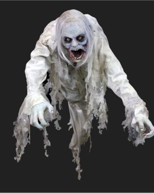 FLY1401 - HALLWAY CEILING FLYER