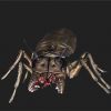 RCH101 – GIANT ROACH (STATIC)