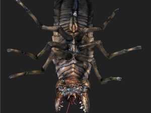 RCH102 - CEILING ROACH FLIPDOWN