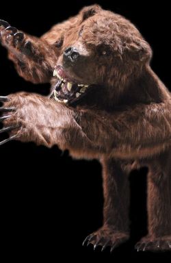 BEAR105- Bear Thru Wall Attack Runner