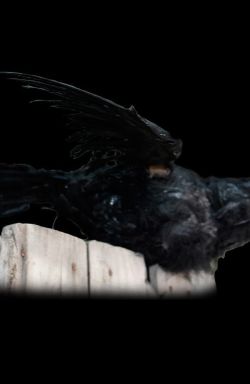 RAV302- Talking Raven with Wing Flap