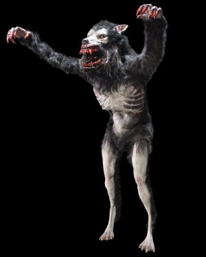 WOLF120- Wolfman Runner