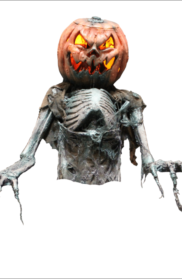 SITE PHOTO - CHR600 Jackolantern Scarecrow